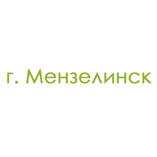 г. Мензелинск (0)